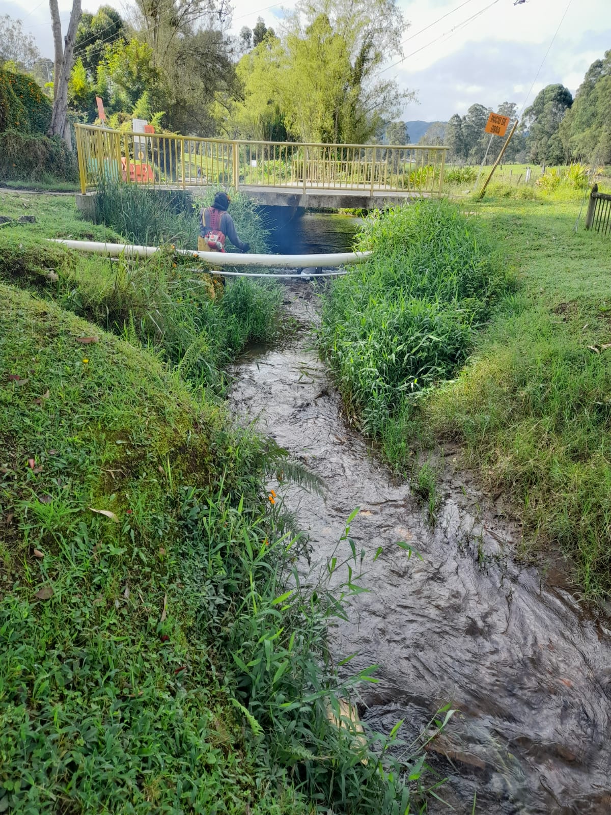 Limpieza y mantenimiento de caños y quebradas Gestión Agroambiental S A S