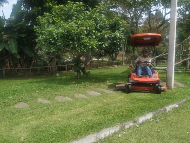 foto-poda-zonas-verdes-zonas-públicas-La-Ceja