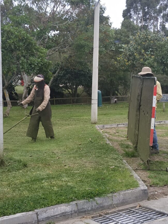 foto-poda-zonas-verdes-la-ceja