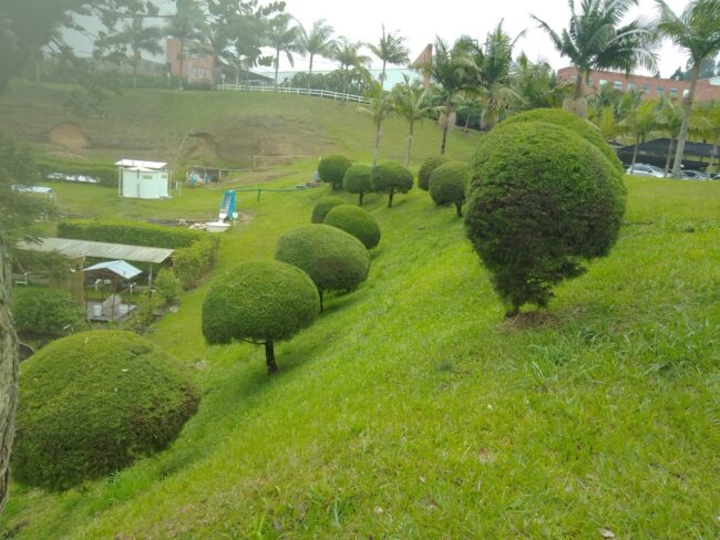 foto-Mantenimiento-jardines-zonas-verdes-3