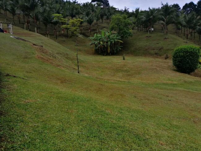 foto-Mantenimiento-jardines-rionegro