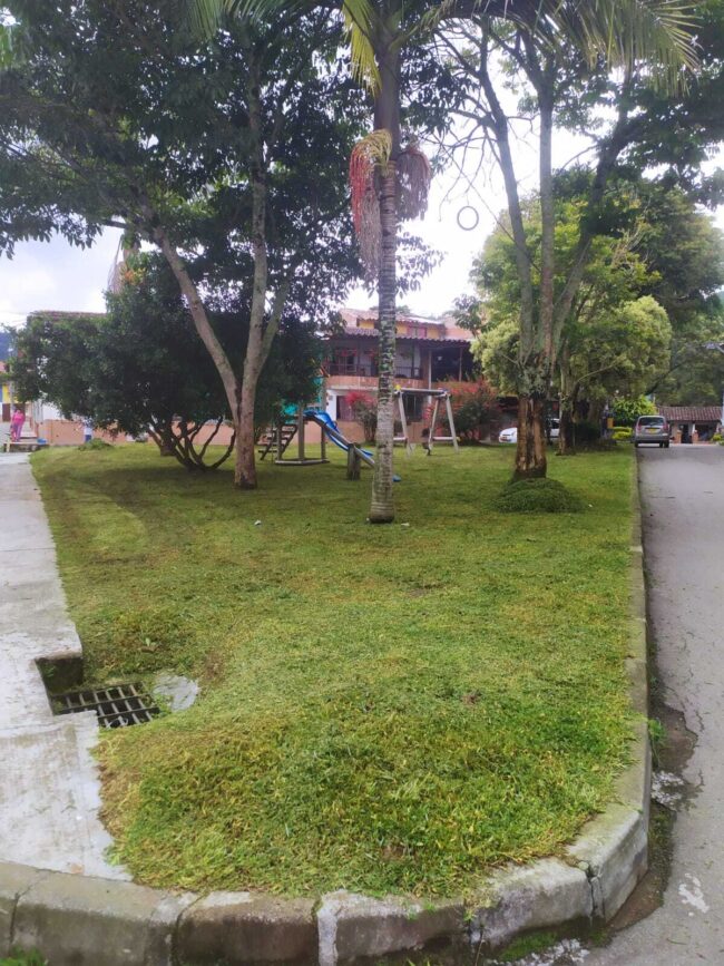 foto-Servicio-poda-zonas-verdes-2