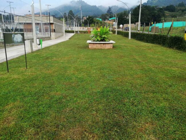foto-mantenimiento-zonas-verdes-deportivo