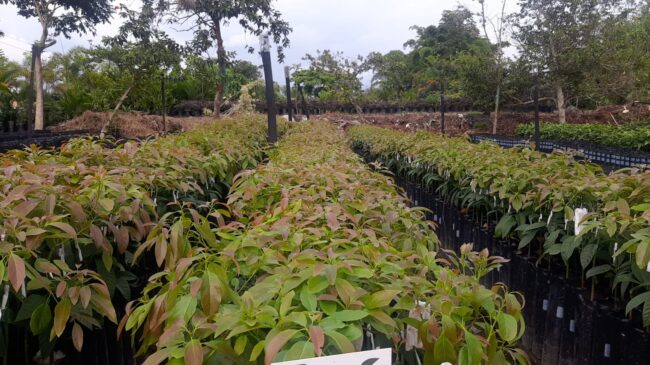 foto-Suministro-insumos-agropecuarios-El-Retiro