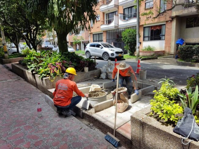 foto-Renaturalización-y-recuperación-jardines-pisos-duros