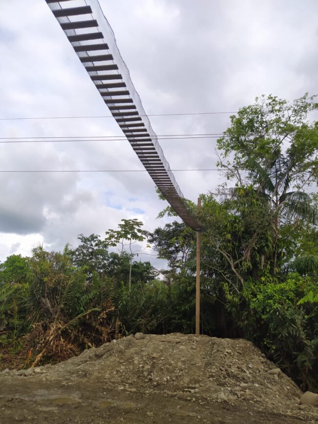 foto-Construcción-pasos-de-fauna-aéreos
