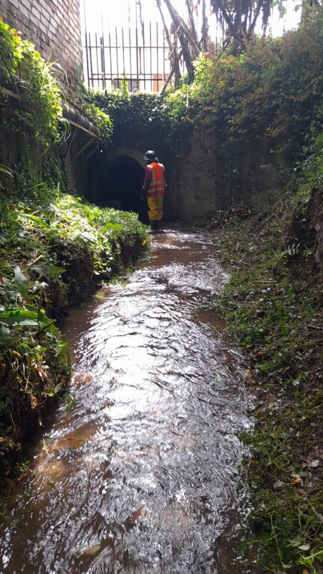 foto-Mantenimiento-fuentes-hídricas-La-Ceja