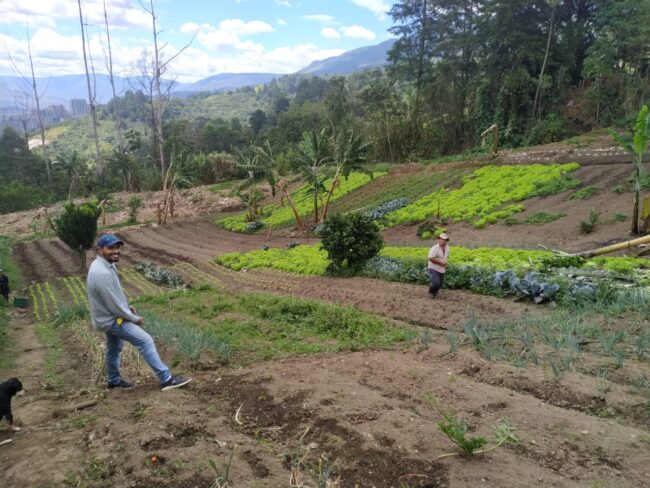 foto-terreno-envigado