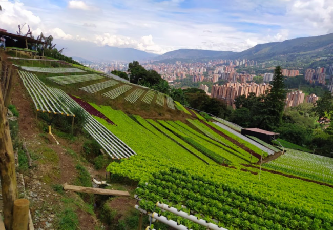 Screen-Shot-2022-12-12-at-10.41.04-AM