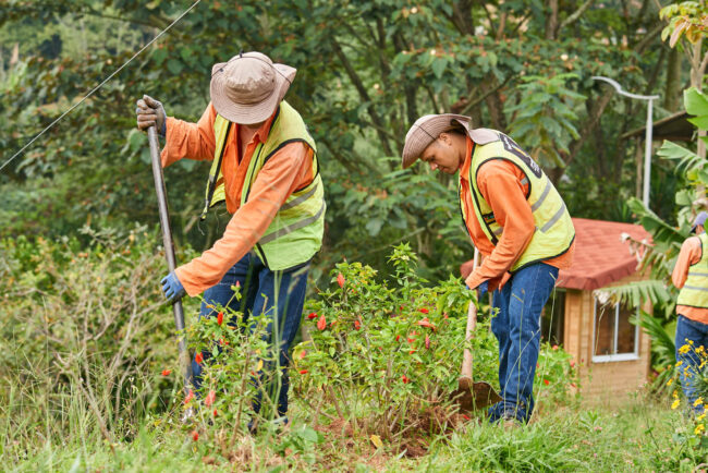 foto-mantenimiento-Jardines-envigado