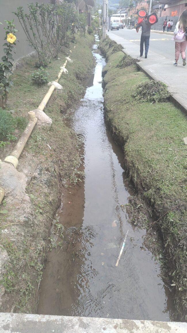 Vivero Universidad del Pacifico