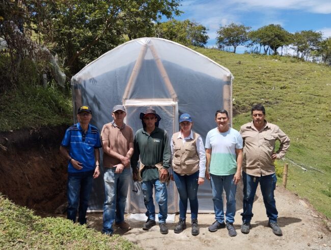 Marquesina en Guadua