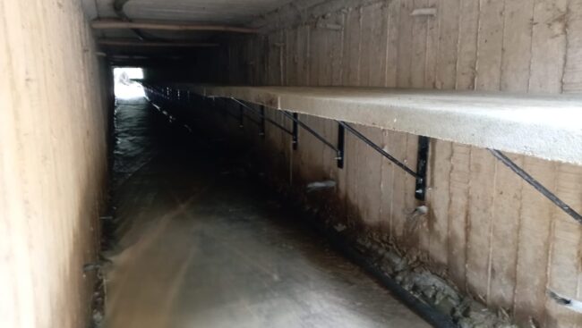 PASOS DE FAUNA subterraneo