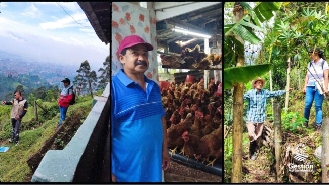 Agroecologia Envigado